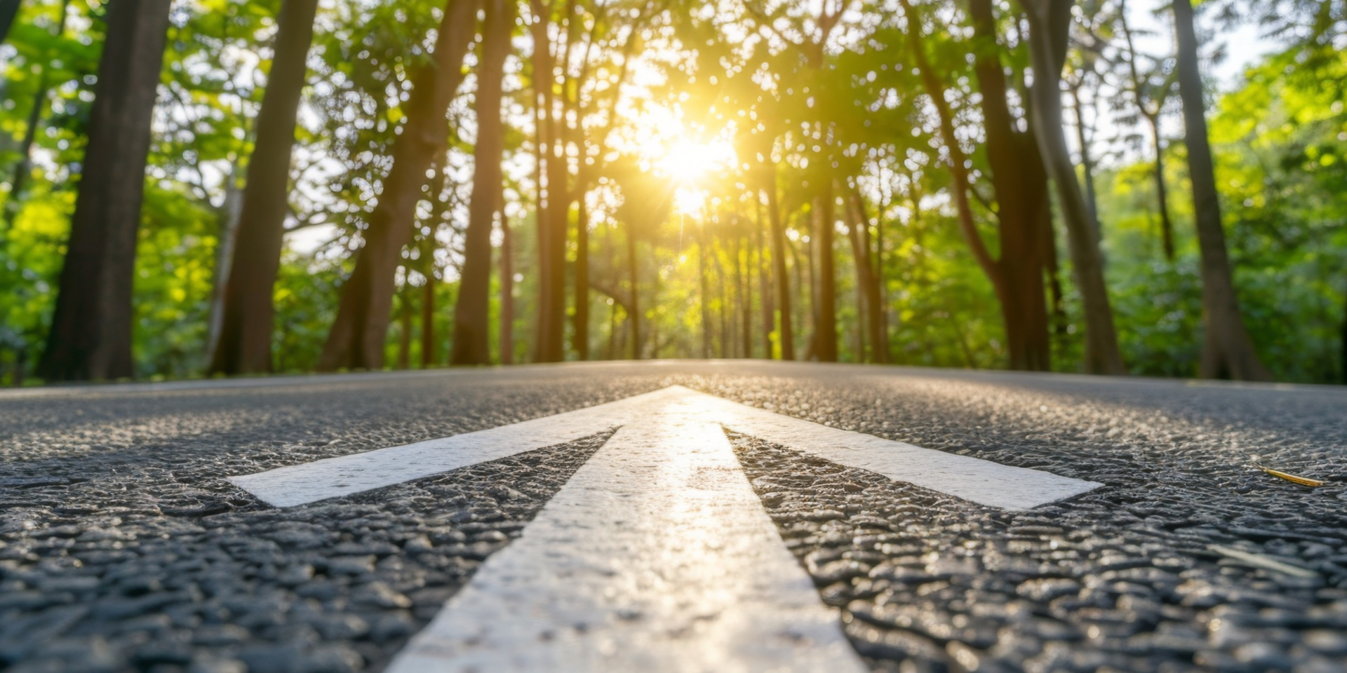 Shell Renewable Diesel (HVO) – nachhaltiger paraffinischer Kraftstoff aus Abfall- und Reststoffen, bis zu 90 % weniger CO₂-Emissionen